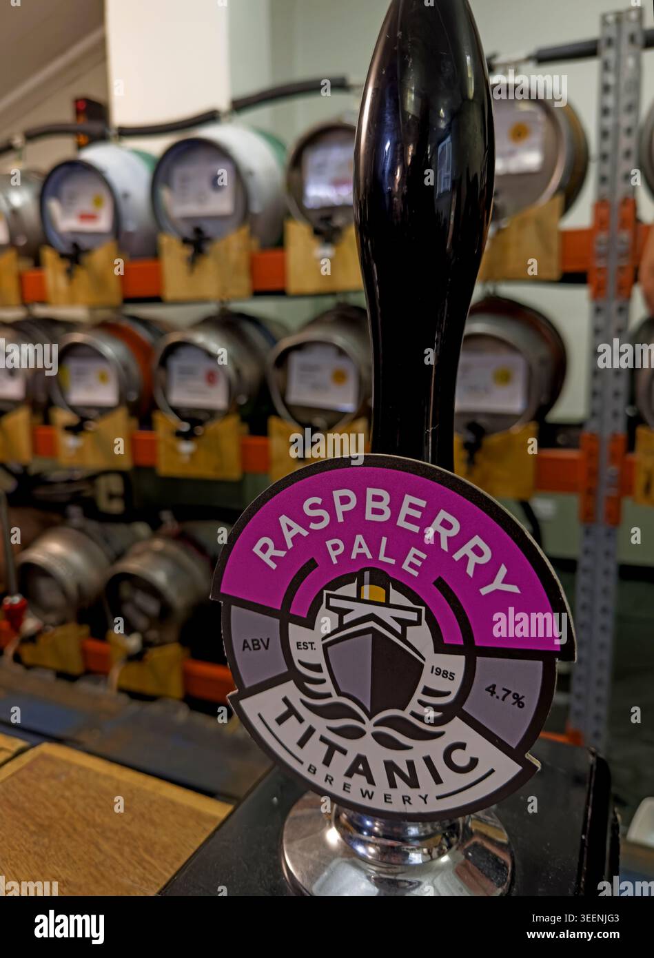 Raspberry Titanic at beer festival, England, UK. Stock Photo