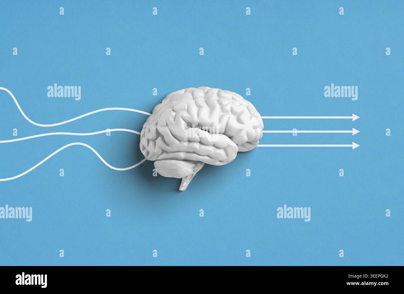 Concepts of Mental Process, Problem Solving, Idea Generation and Logical Thinking. Human brain receiving complex inputs, processing information, and p Stock Photo