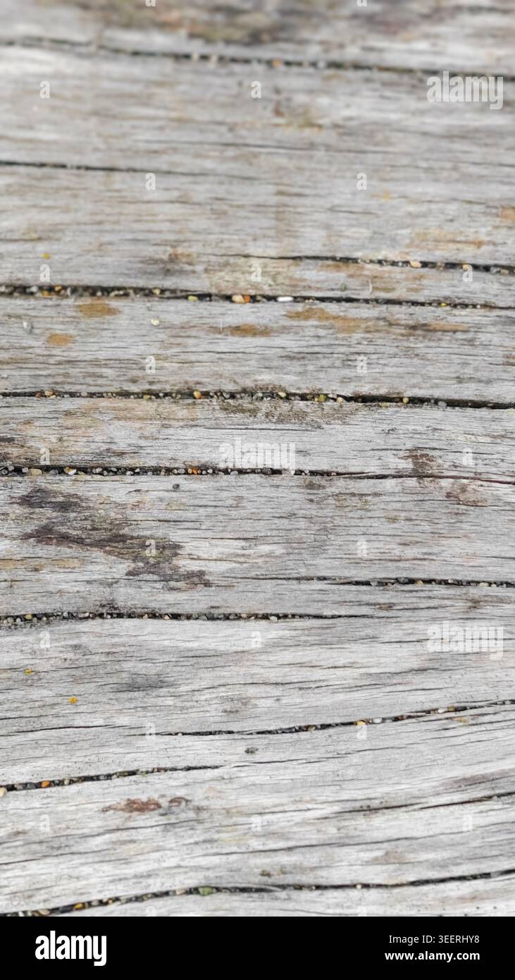 Close-up shows worn wooden planks, bleached gray with age. Texture exhibits cracks and small stones lodged between. Neutral, muted color palette ideal Stock Photo