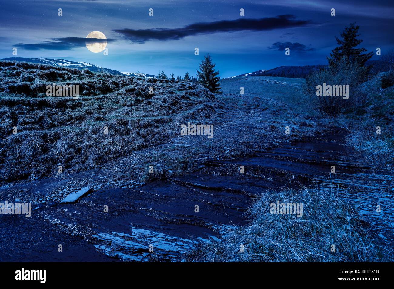 rural scenery in carpathian mountains at night. simple view of a countryside mountain landscape during springtime. full moon over brook near the grass Stock Photo