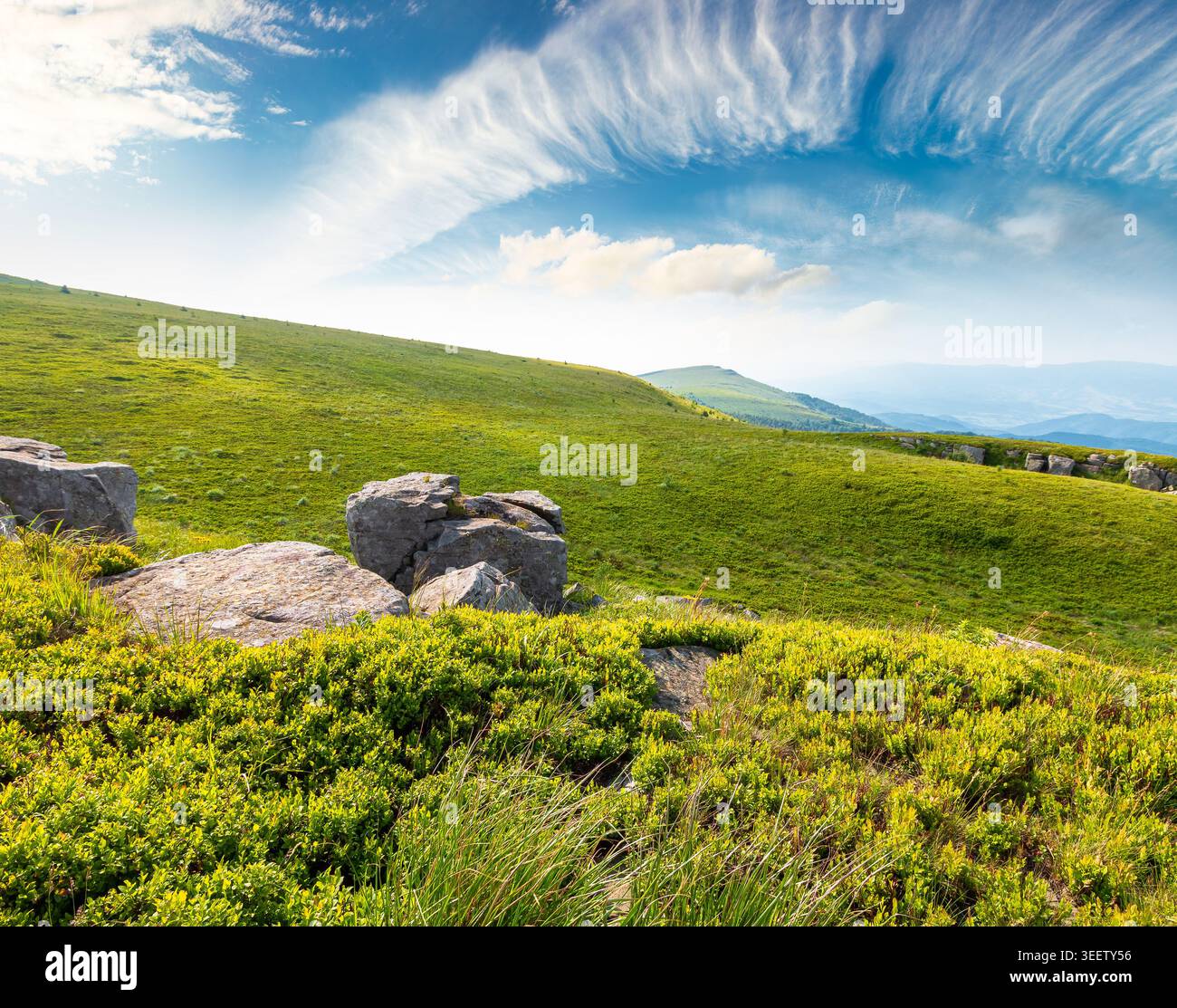 mountain summer landscape. meadow with giant stones among the grass on the hillside. awe view near the peak of mountain smooth in morning dappled ligh Stock Photo