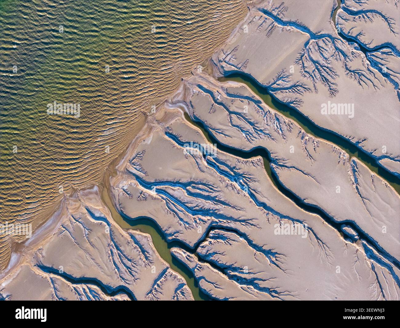 Dendritic Delta Pattern Aerial view of intricate dendritic water channels and sand flats at ...