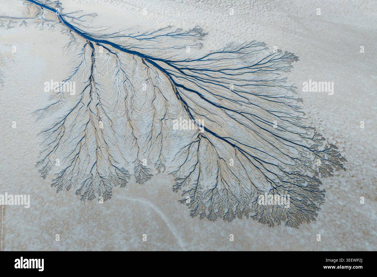Dendritic Delta Pattern Dendritic river drainage pattern hi-res stock photography and images ...