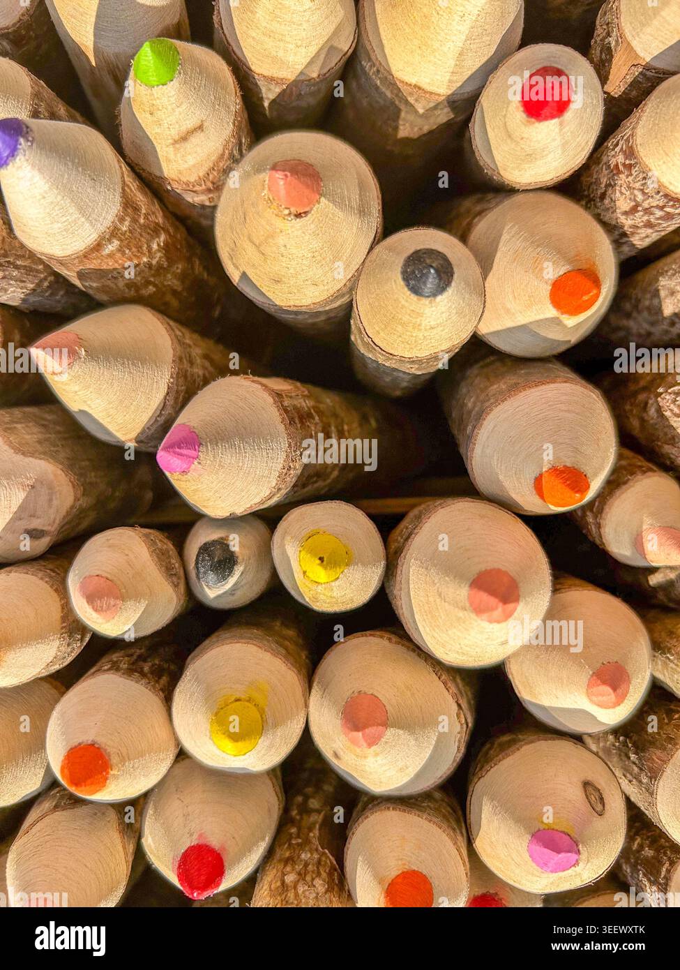 Top down close-up of a bundle of rustic colored pencils made from natural tree branches. Stock Photo