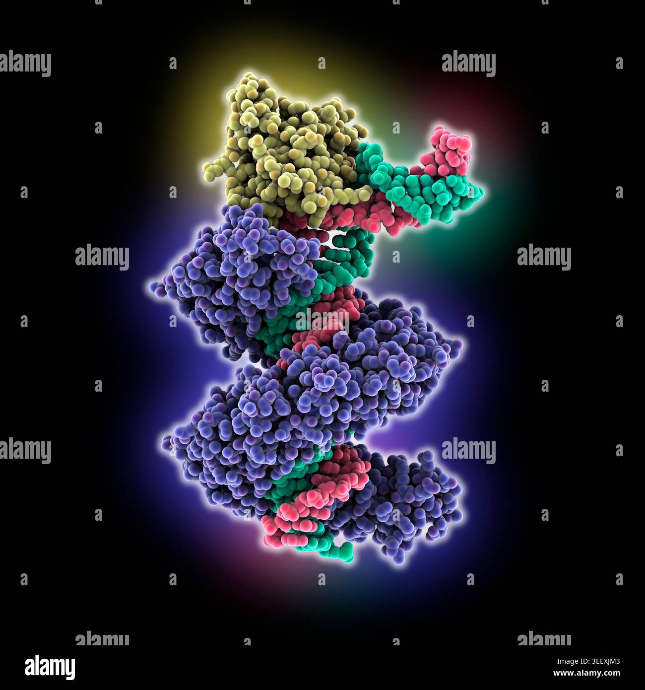 High-precision mitochondrial dsDNA-editing with DdCBE. Abbreviations ...