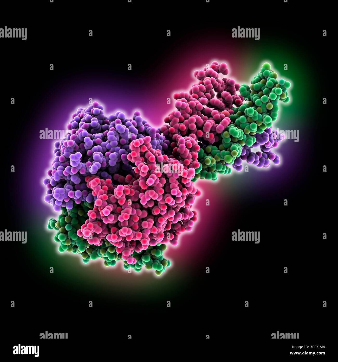 Bovine proton-activated TMEM206 chloride channel. Molecular model of ...