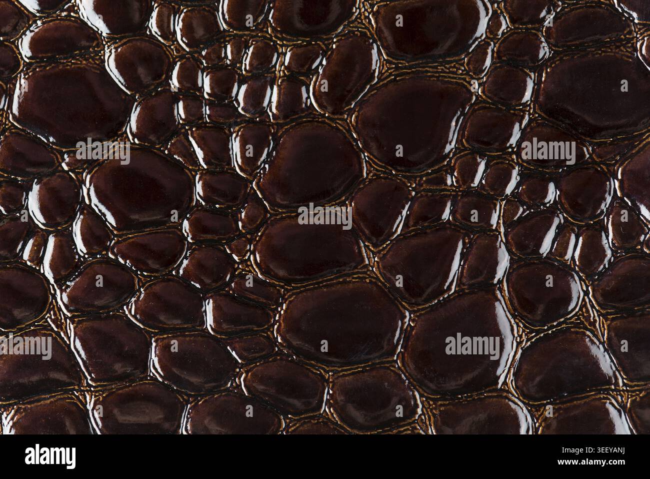 Brown snake skin detailed texture background Stock Photo