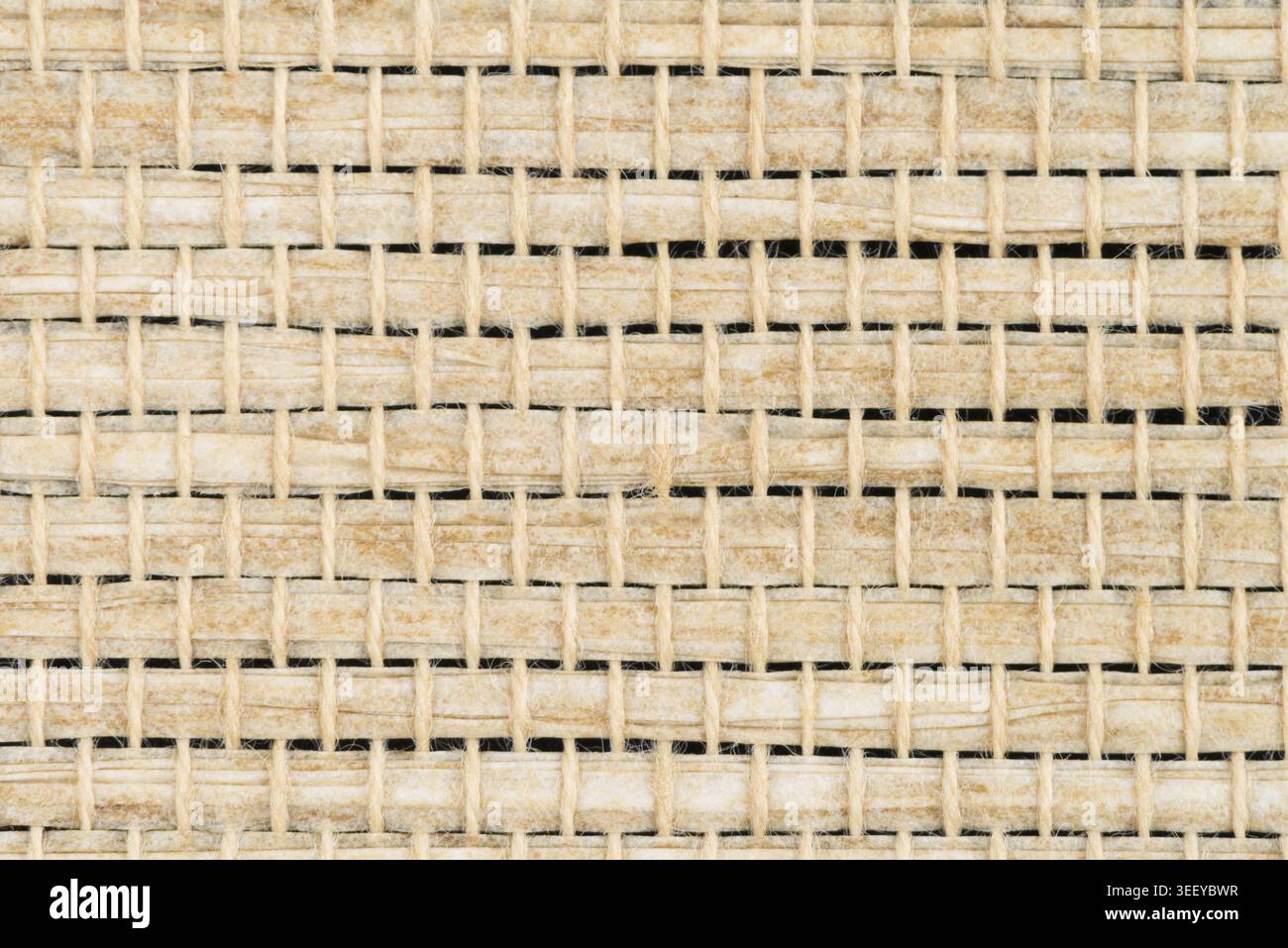 Bamboo texture background bound together in a pattern Stock Photo