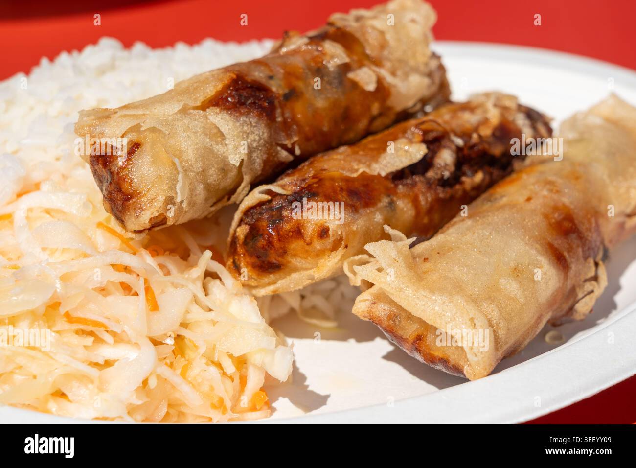 Papiah Rice Fried spring rolls. Crispy springrolls, roasted egg rolls with boiled ...