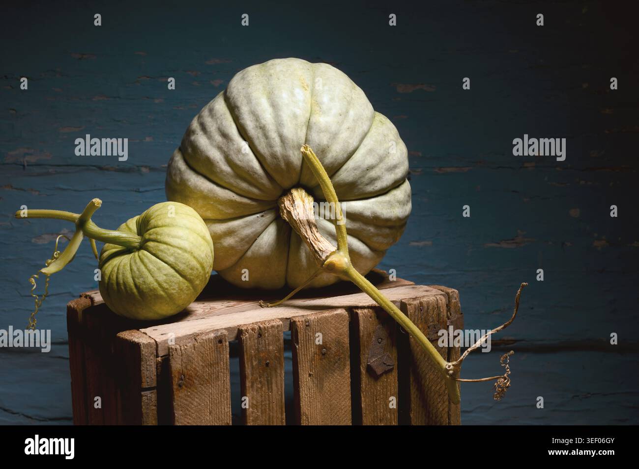 Pumpkins on wooden crate against blue wall in moody lighting. Autumn still life with squash and rustic texture Stock Photo