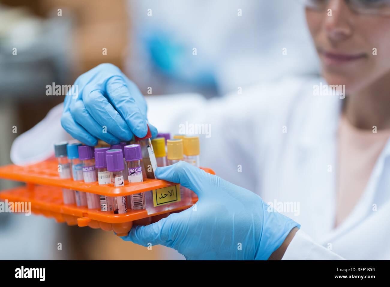 Young medical staff wearing gloves organize vials and vacutainers in an ...