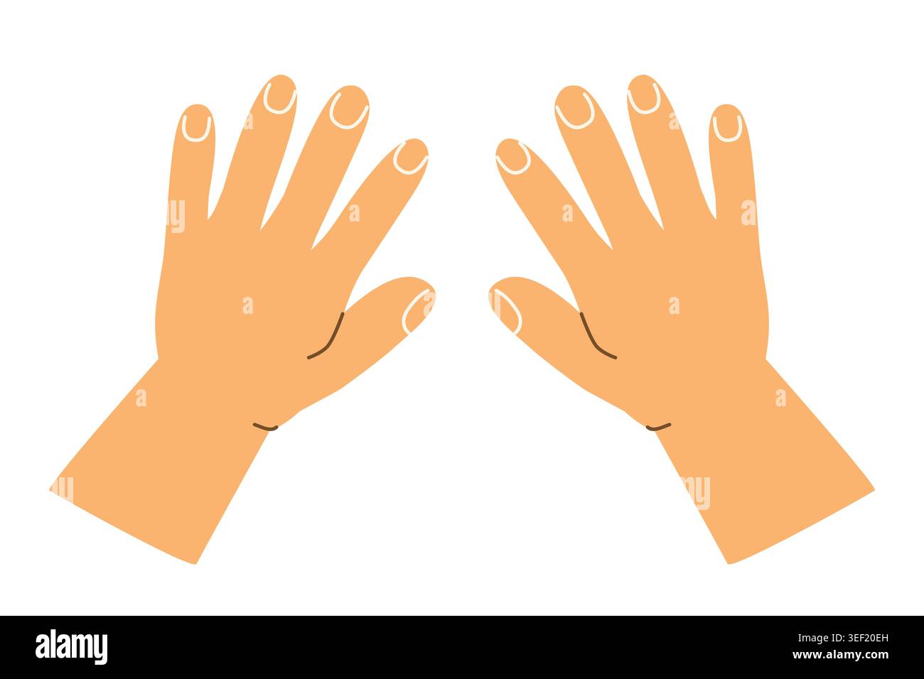 two hands top view, human palms seen from above  - vector illustration Stock Vector