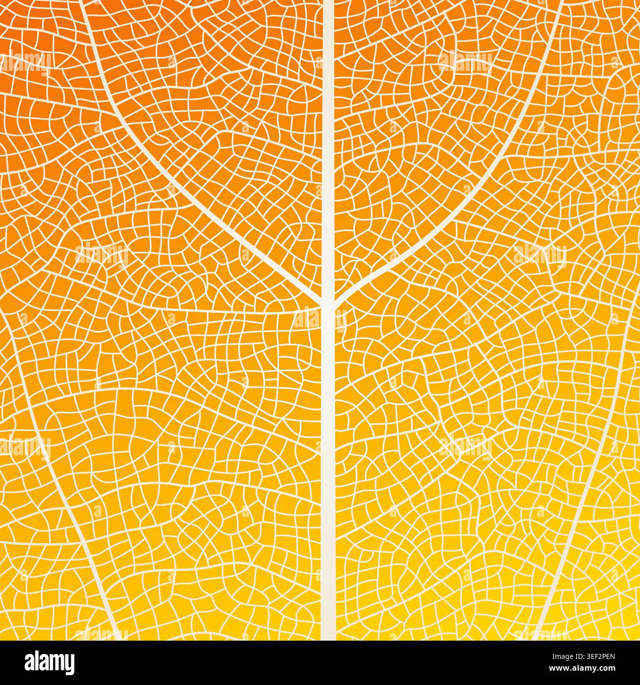 Leaf vein texture abstract background with close up plant leaf cells ornament texture pattern. Stock Vector
