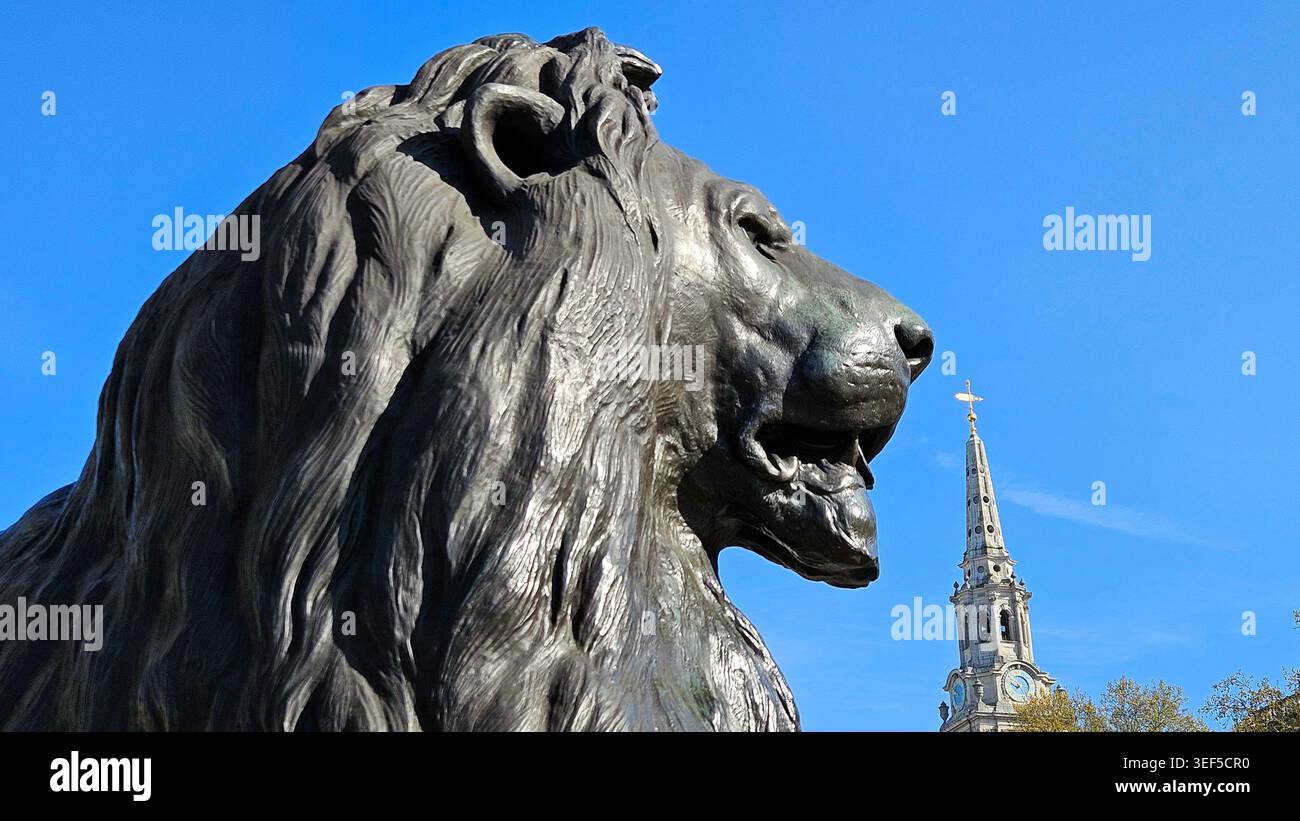Bronze lion, at the base of Nelson's Column, Trafalgar Square, London, with the spire of St Martin-in-the-Fields church behind. - Smartphone Captured Stock Image