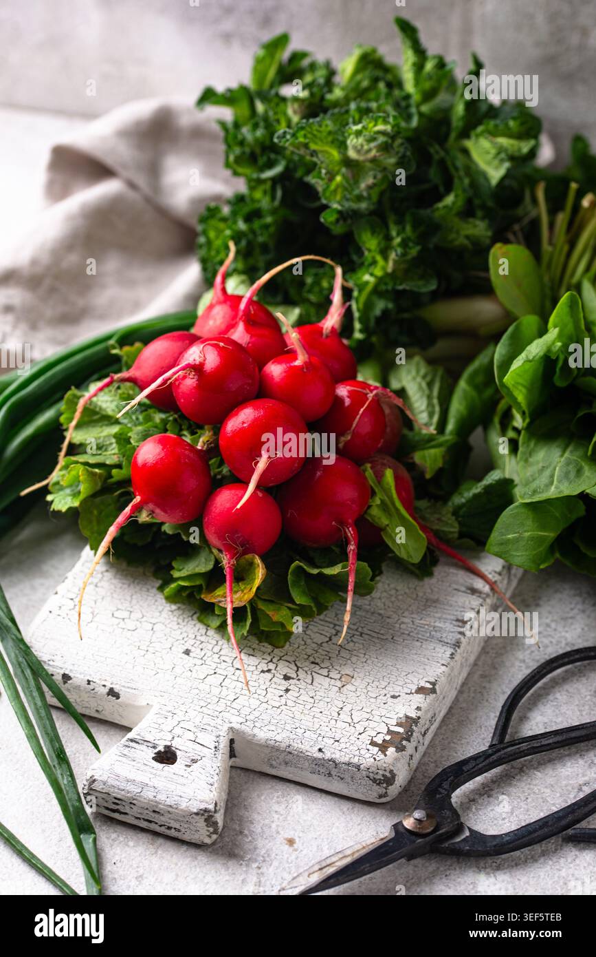 Radish, onion and herbs, spring greens concept Stock Photo