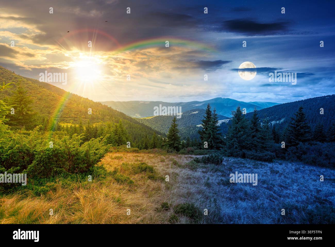 hillside of mountain range with coniferous forest and grassy meadow. day meet night. sun and moon over beautiful summer landscape with alp. wonderful Stock Photo