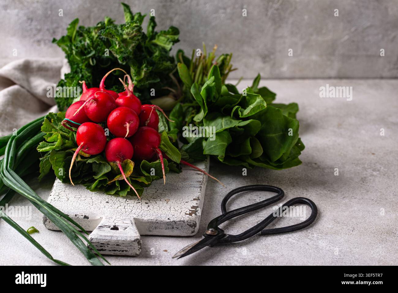 Radish, onion and herbs, spring greens concept Stock Photo