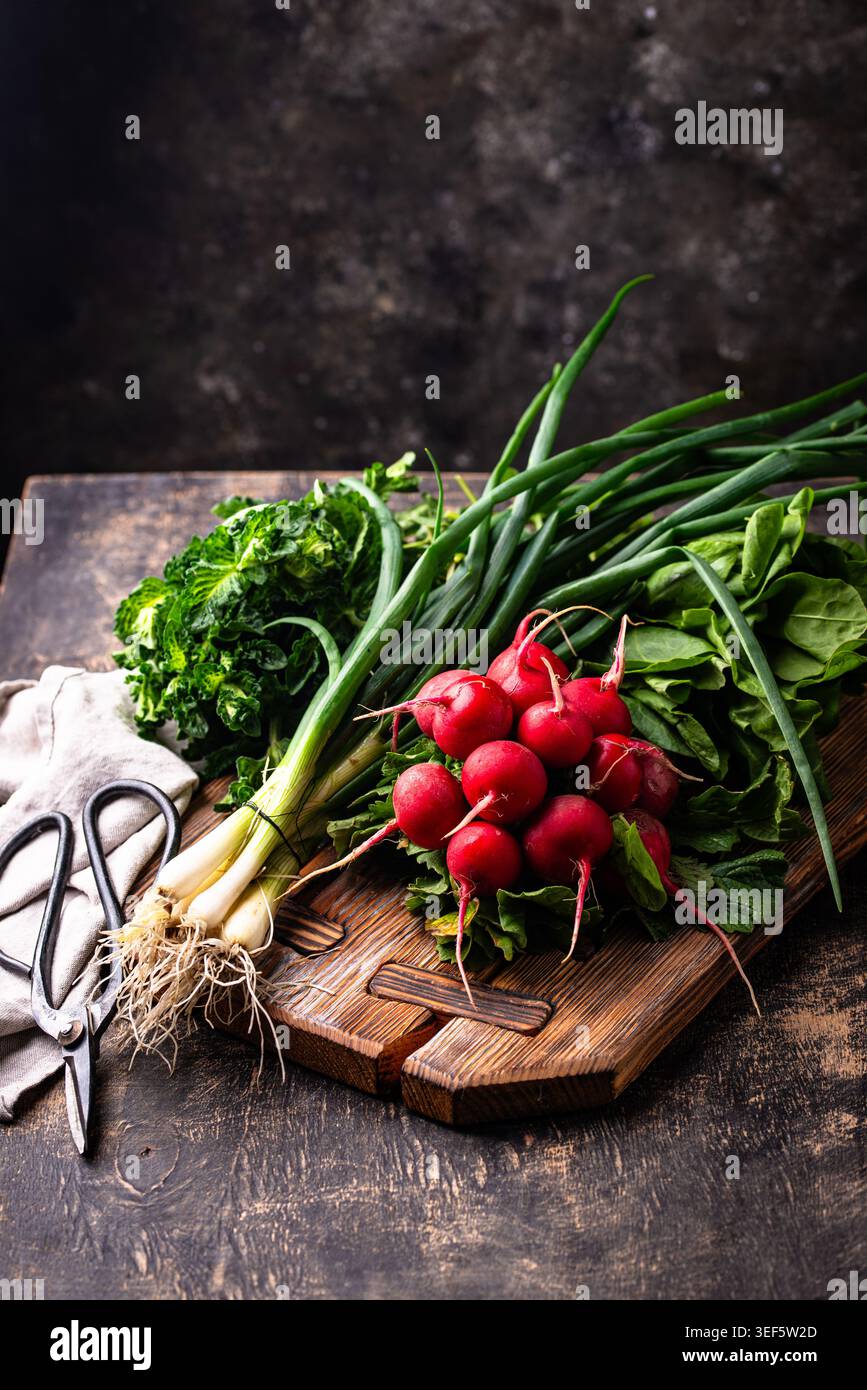 Radish, onion and herbs, spring greens concept Stock Photo