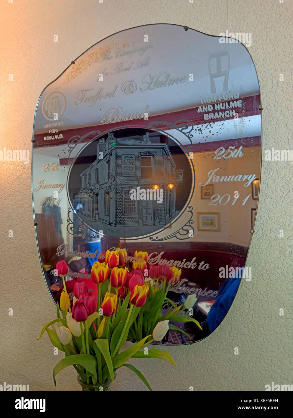 CAMRA commemorative mirror for Nancy Swanick at Peveril of the Peak, Manchester, with spring tulips Stock Photo