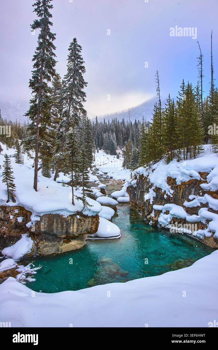 Snow Covered Pines and Turquoise River Flowing Through Winter Canyon Scenery Stock Photo
