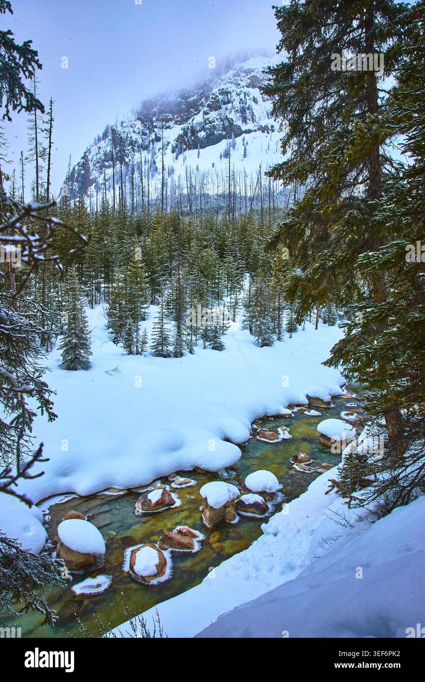 Snow Covered River Flowing Through Evergreen Forest With Mountain Backdrop Winter Stock Photo