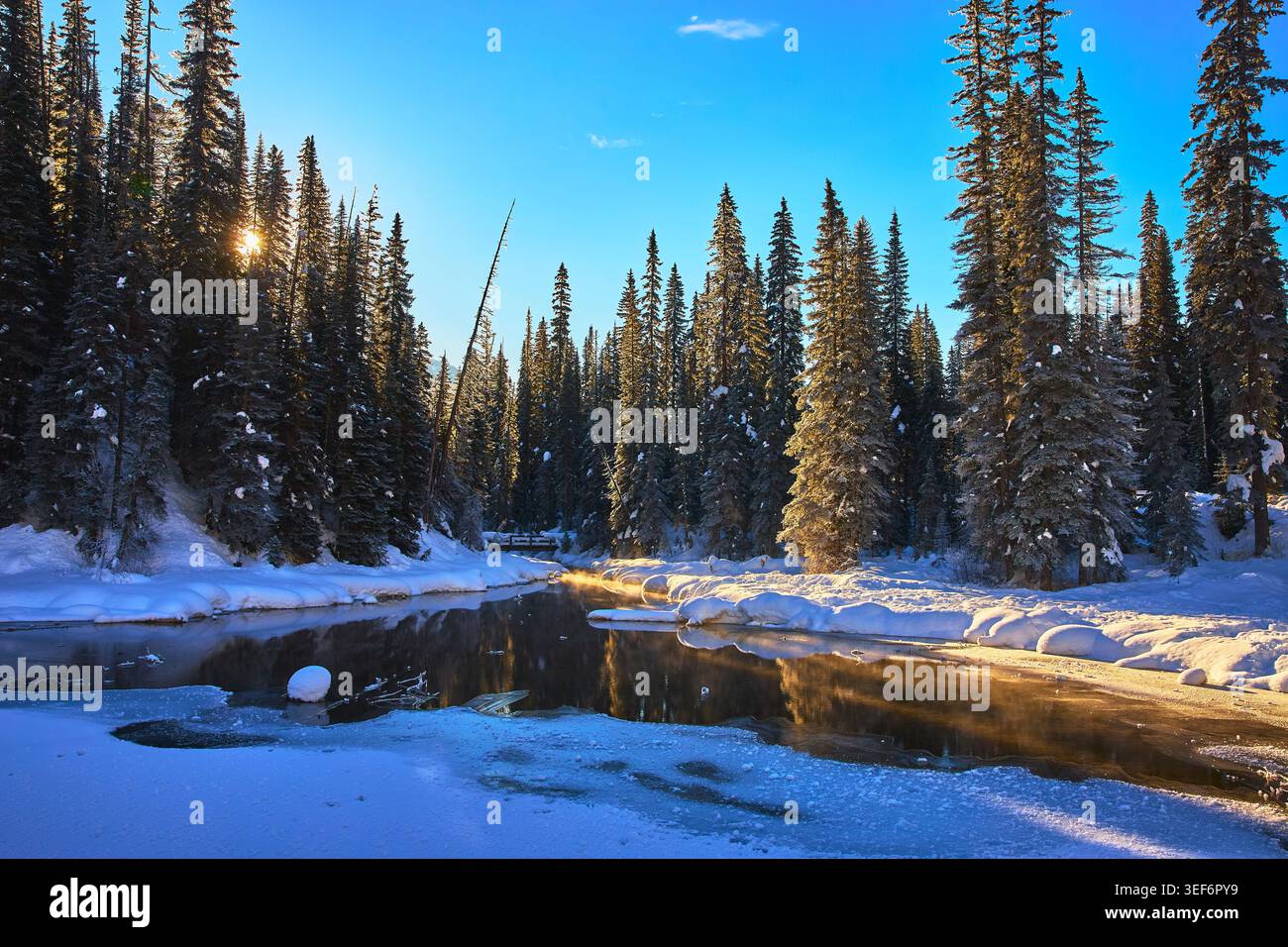 Snow Covered Pine Forest With Sunburst And Frozen River In Winter Stock Photo