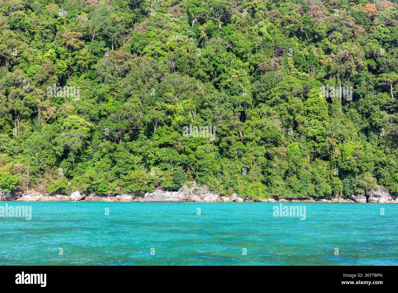 Koh Surin, Thailand. Tropical island with lush greenery and clear ...