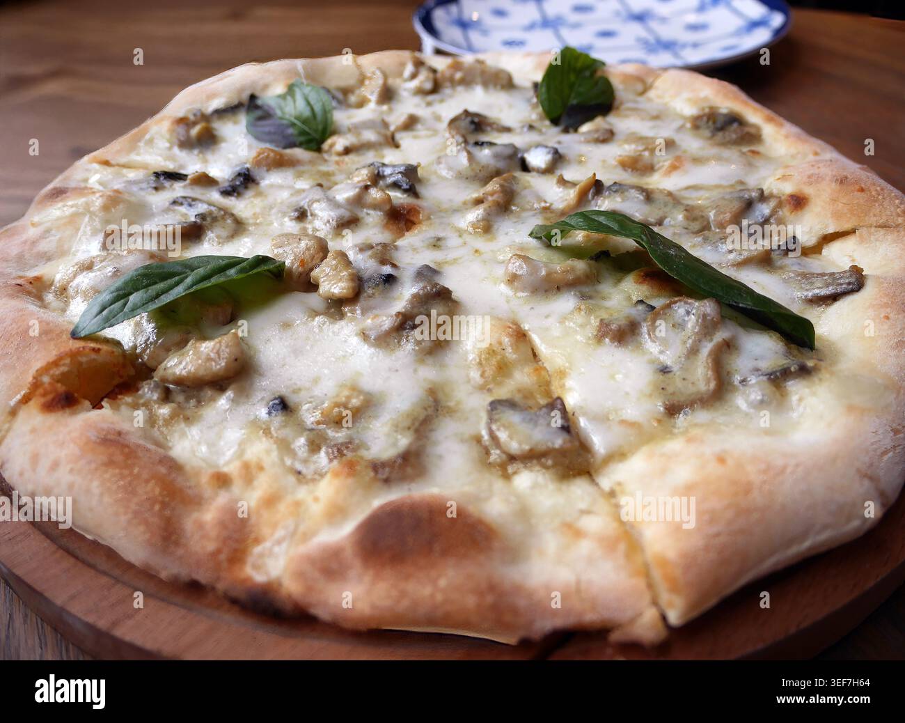 Freshly baked artisan white pizza (pizza bianca) topped with generous ...
