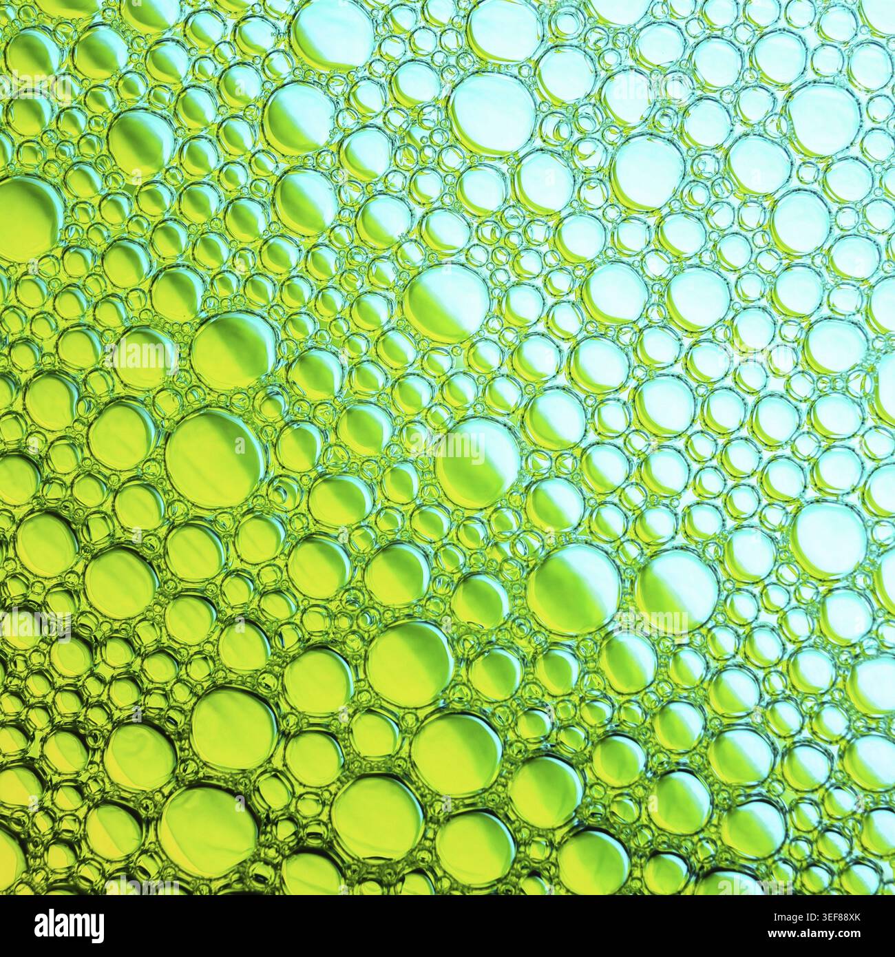 Green bubbles background. Foam bubbles macro texture Stock Photo