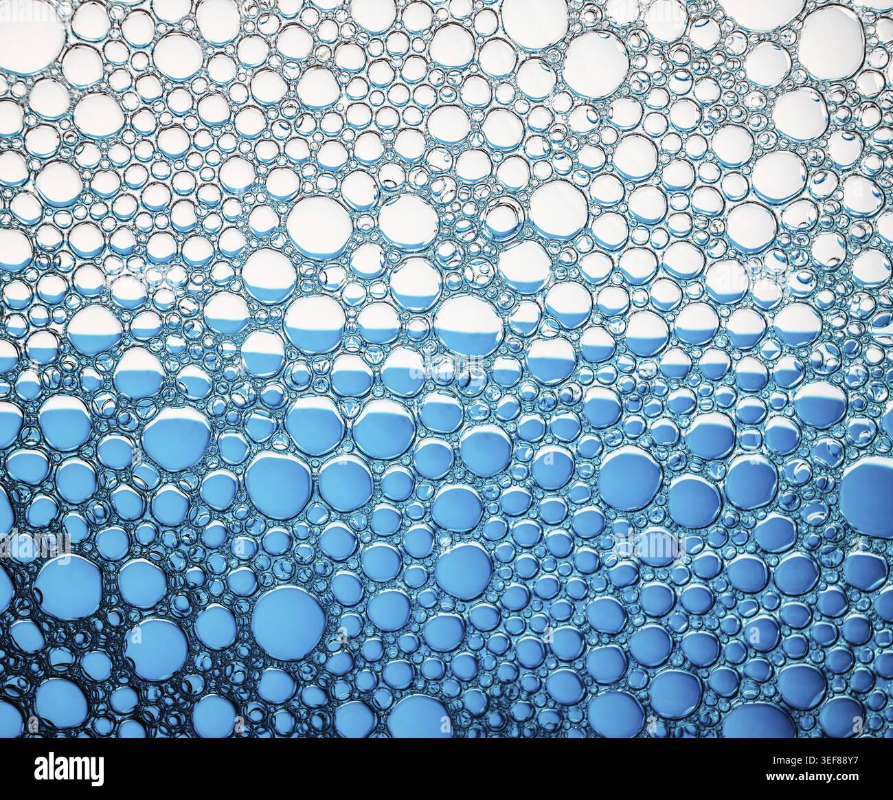 Abstract bubbles texture. Foam bubbles macro background Stock Photo