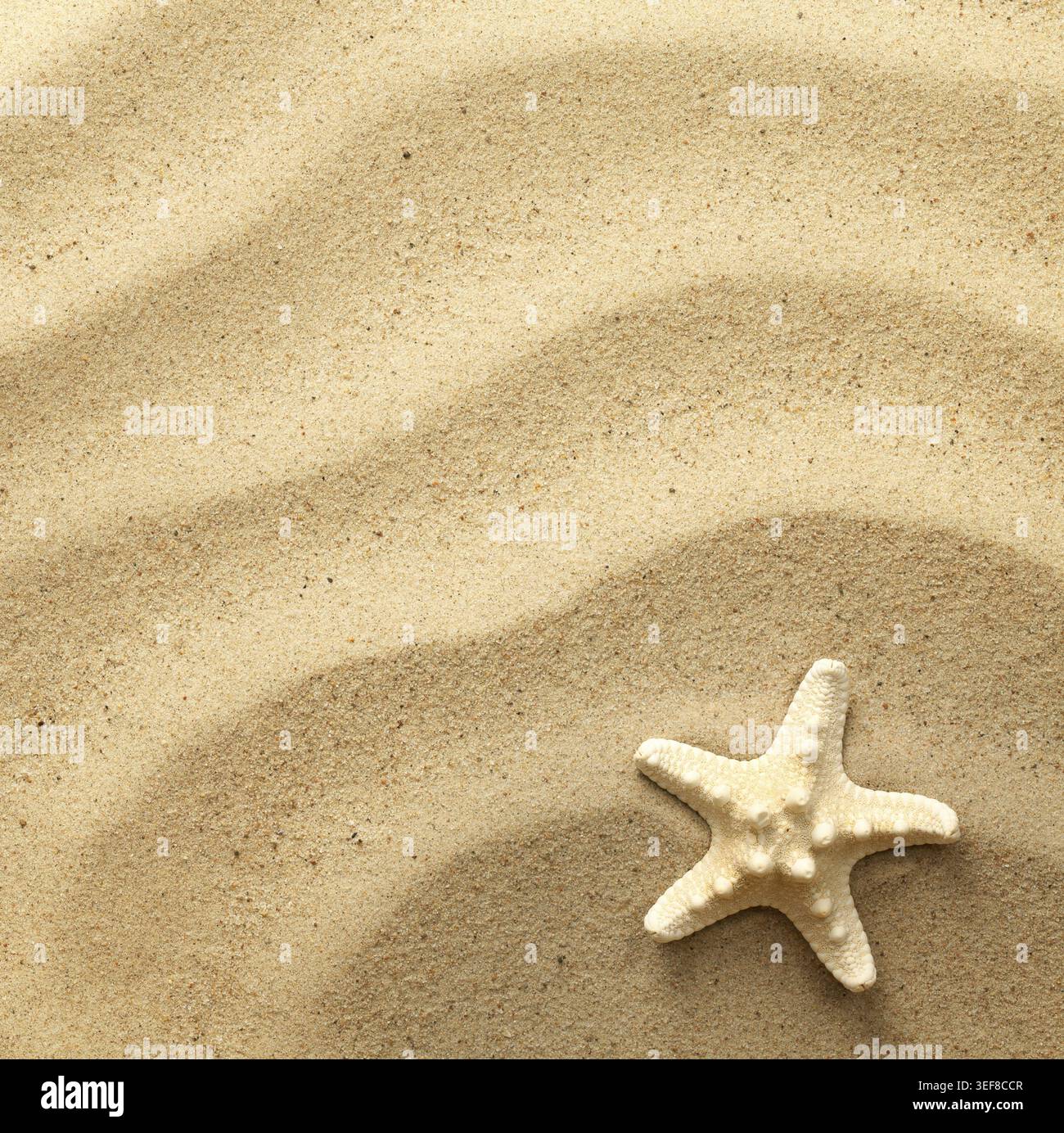 Starfish on wavy sand background. View from above. Flat lay Stock Photo