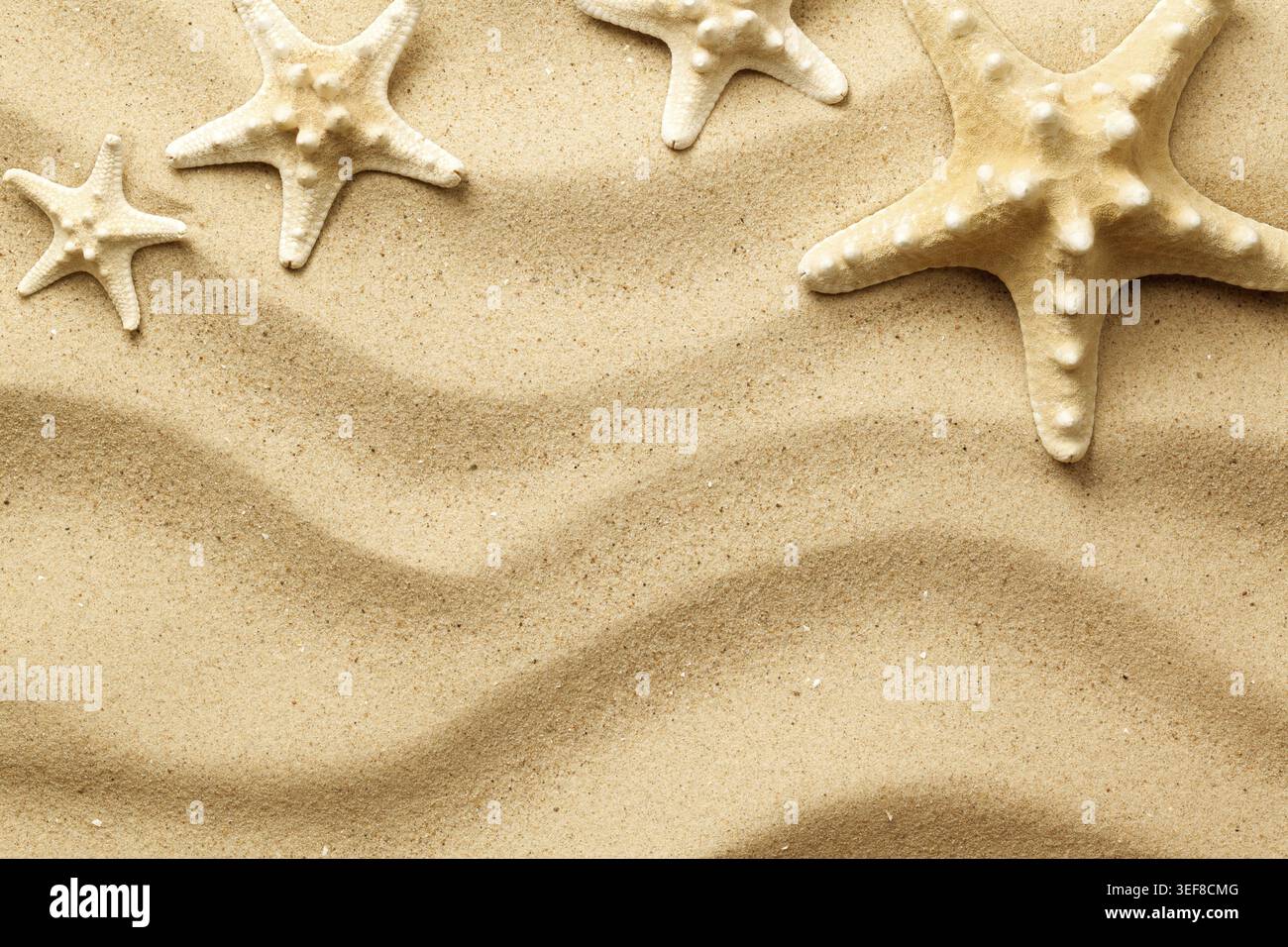 Starfishes on sand background. Top view. Flat lay Stock Photo