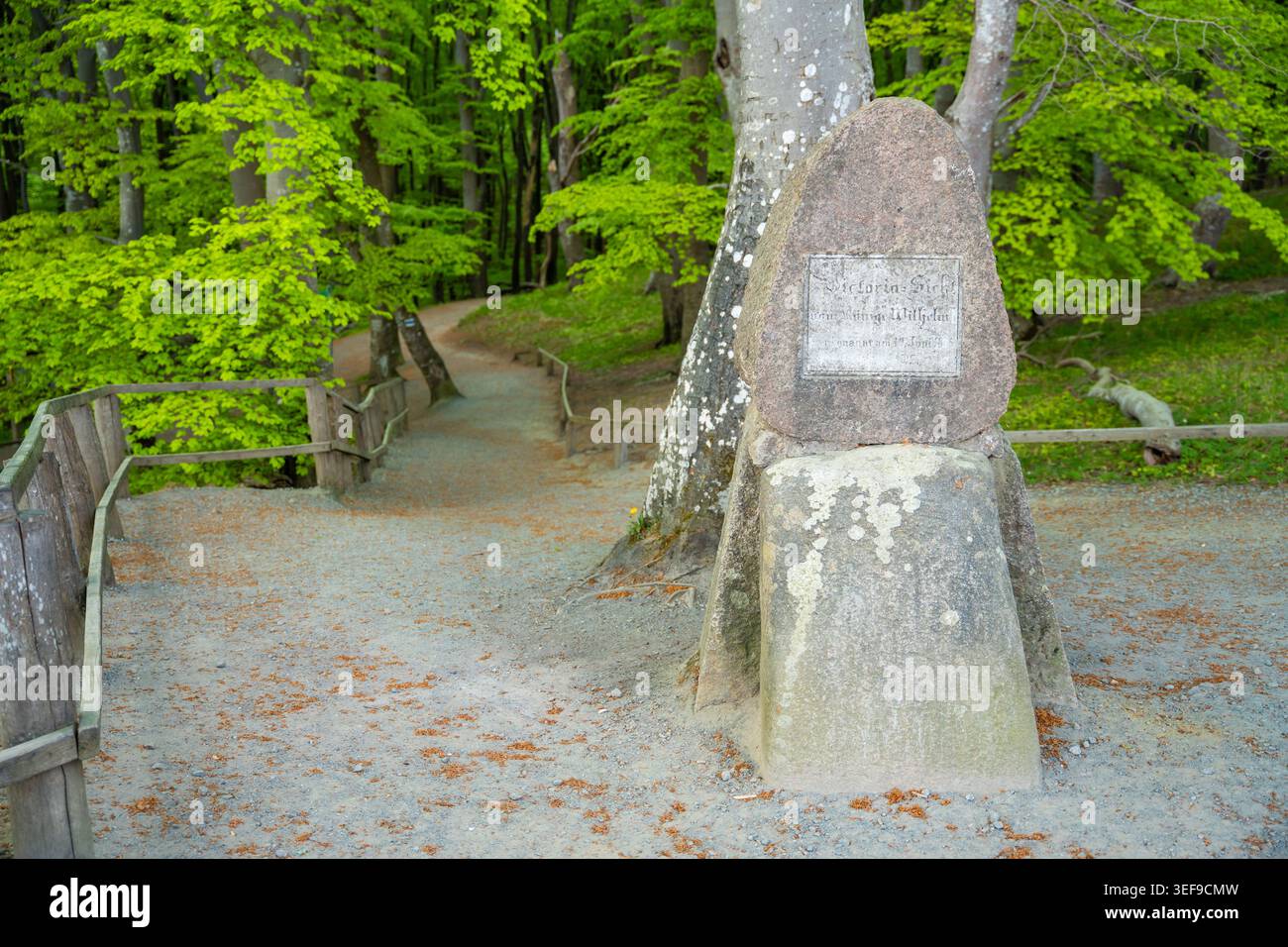 Historic stone marker along forest hiking trail in Jasmund National Park on Rugen island, Germany Stock Photo