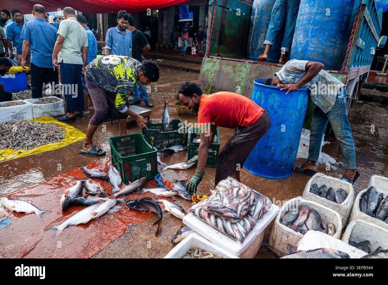 Fish sellers and buyers engage in trade at busy fish market in ...