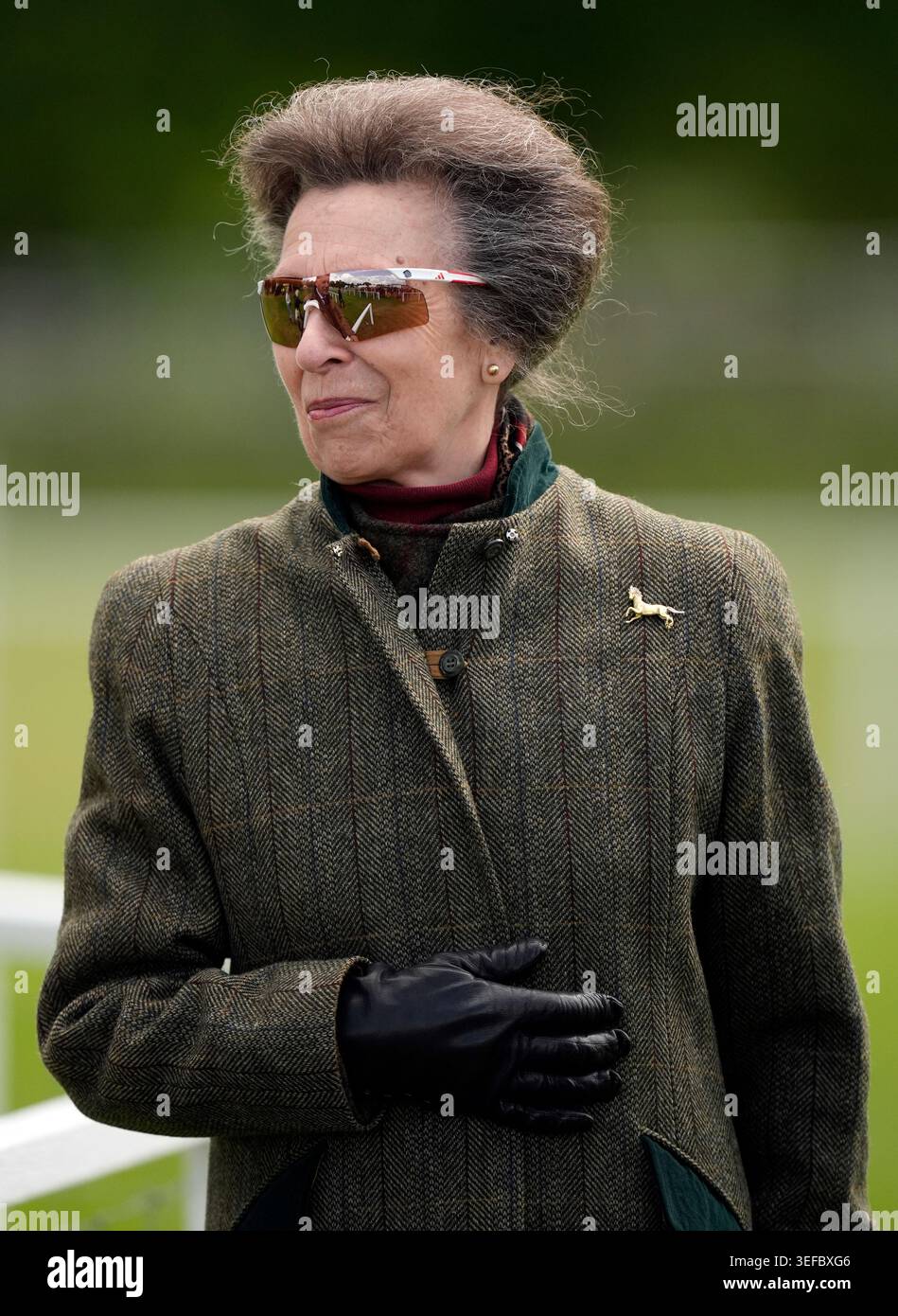The Princess Royal during the Royal Windsor Horse Show in Windsor ...