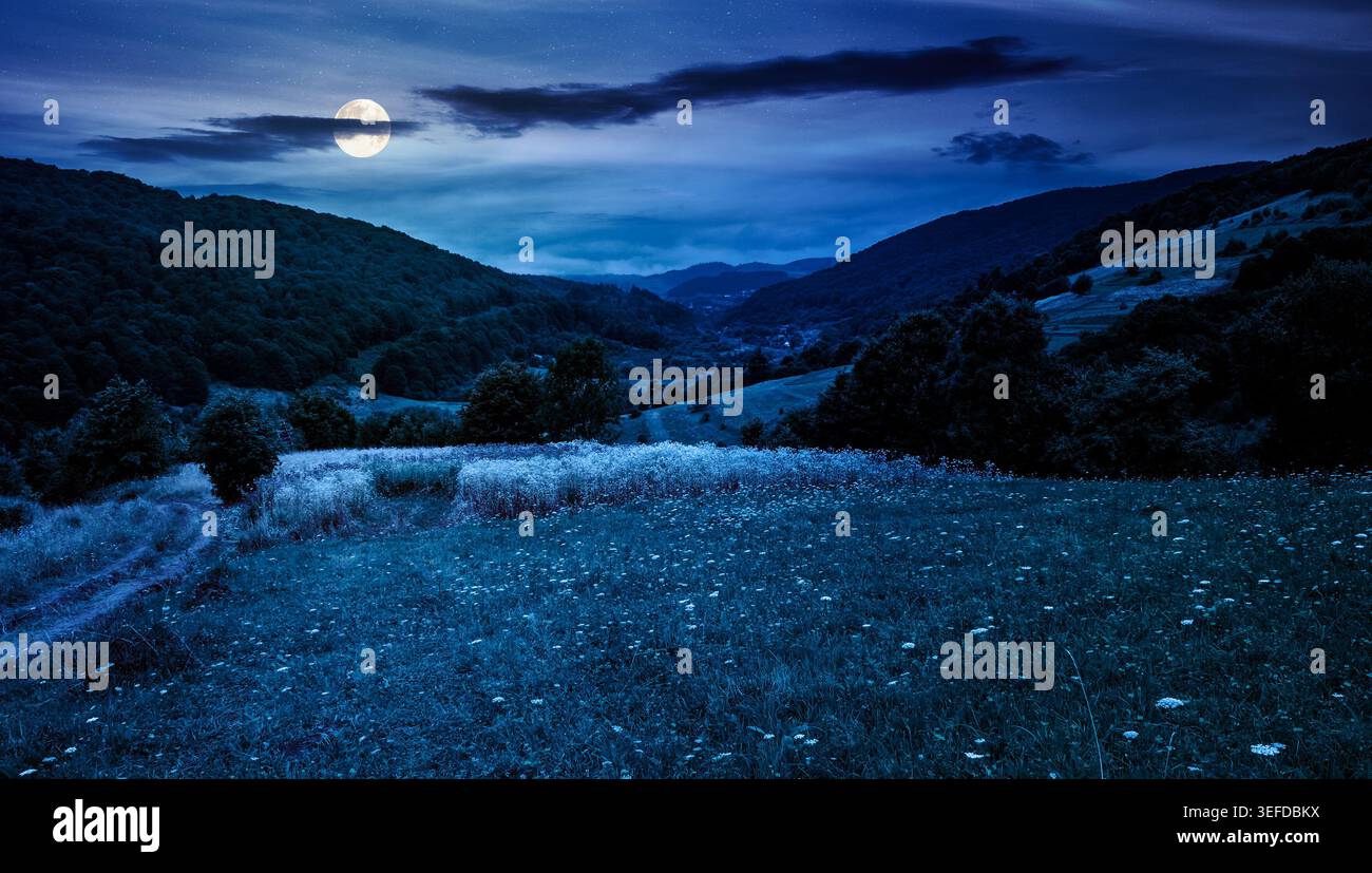 rural field on the hill at night. view in to the valley. countryside mountain landscape. full moon over alpine pasture near forested hills. inner stre Stock Photo
