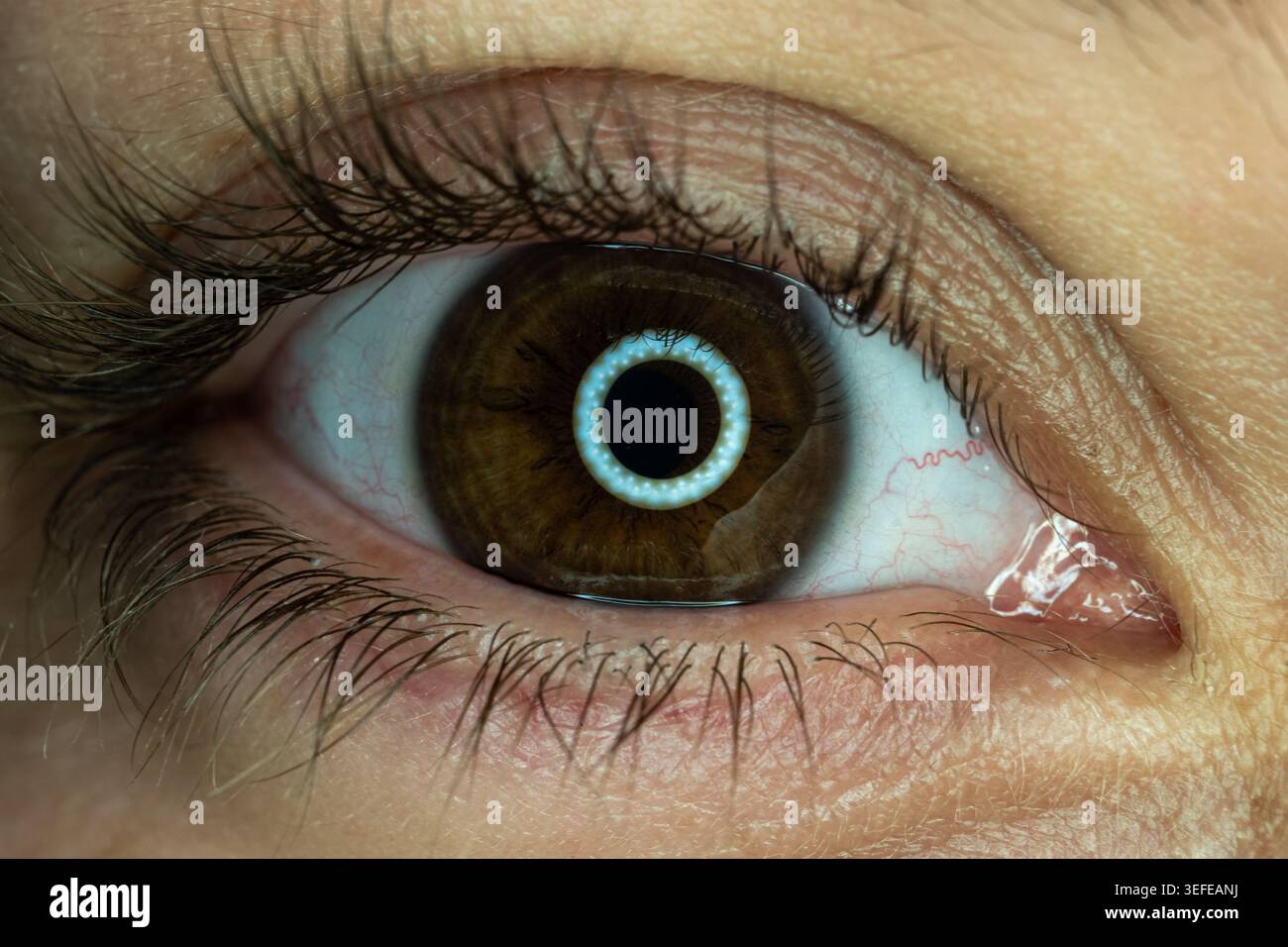 Human eye reflecting LED ring light technology Stock Photo