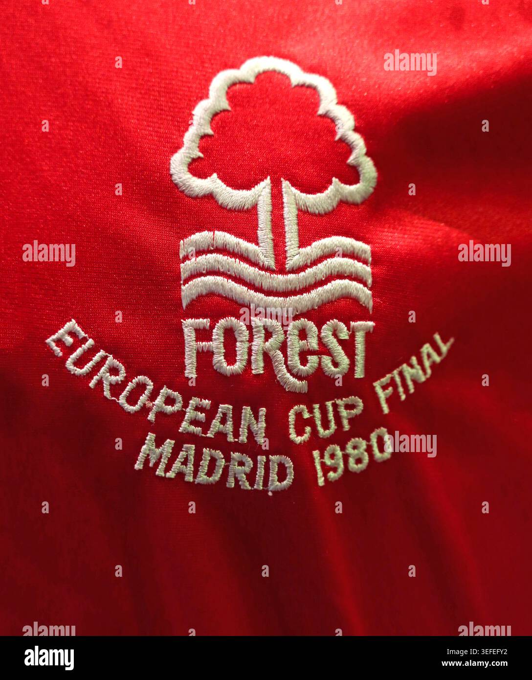 Close-up of Nottingham Forest crest embroidery for the 1980 European Cup Final in Madrid, a historic football souvenir. Stock Photo
