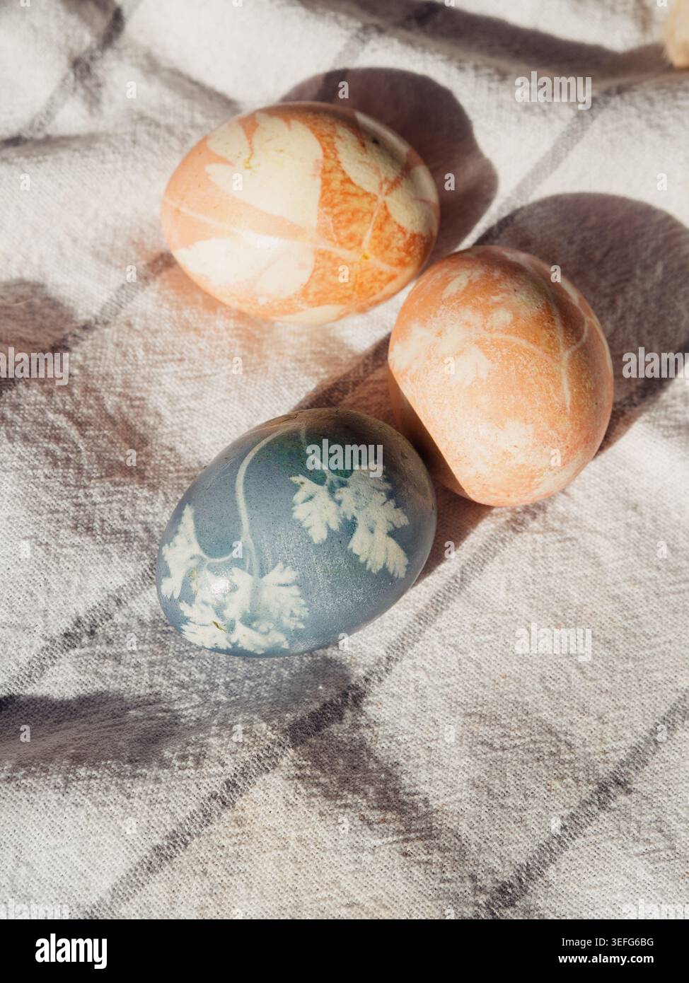 Pastel Easter Eggs with Floral Imprints on White Towel in Sunlight Stock Photo