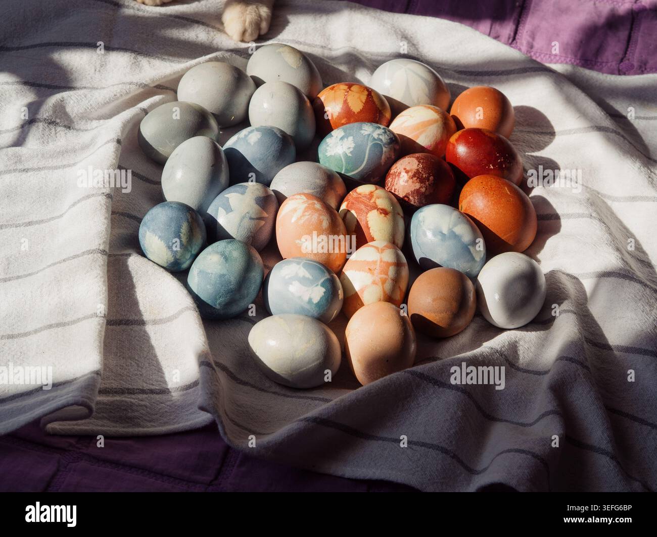 Dyed Easter Eggs with Floral Imprints and Cat Paws on Sunlit Linen Stock Photo