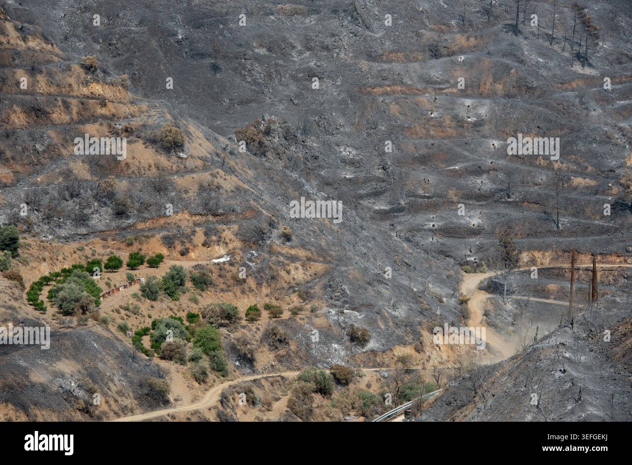 Parched ground shows the aftermath of a devastating wildfire that swept ...