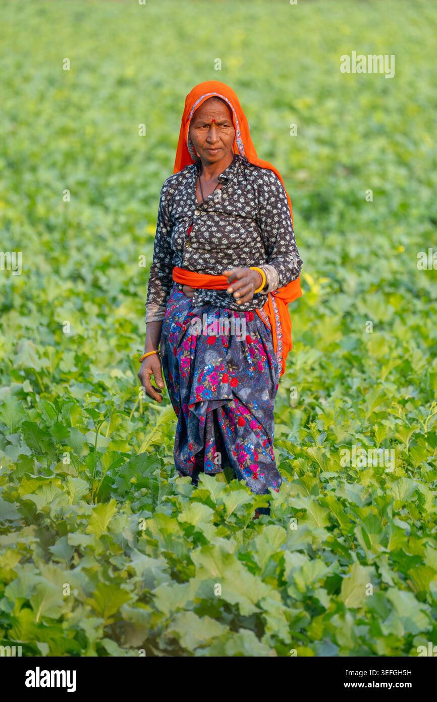 Female Farmer in field Stock Photo