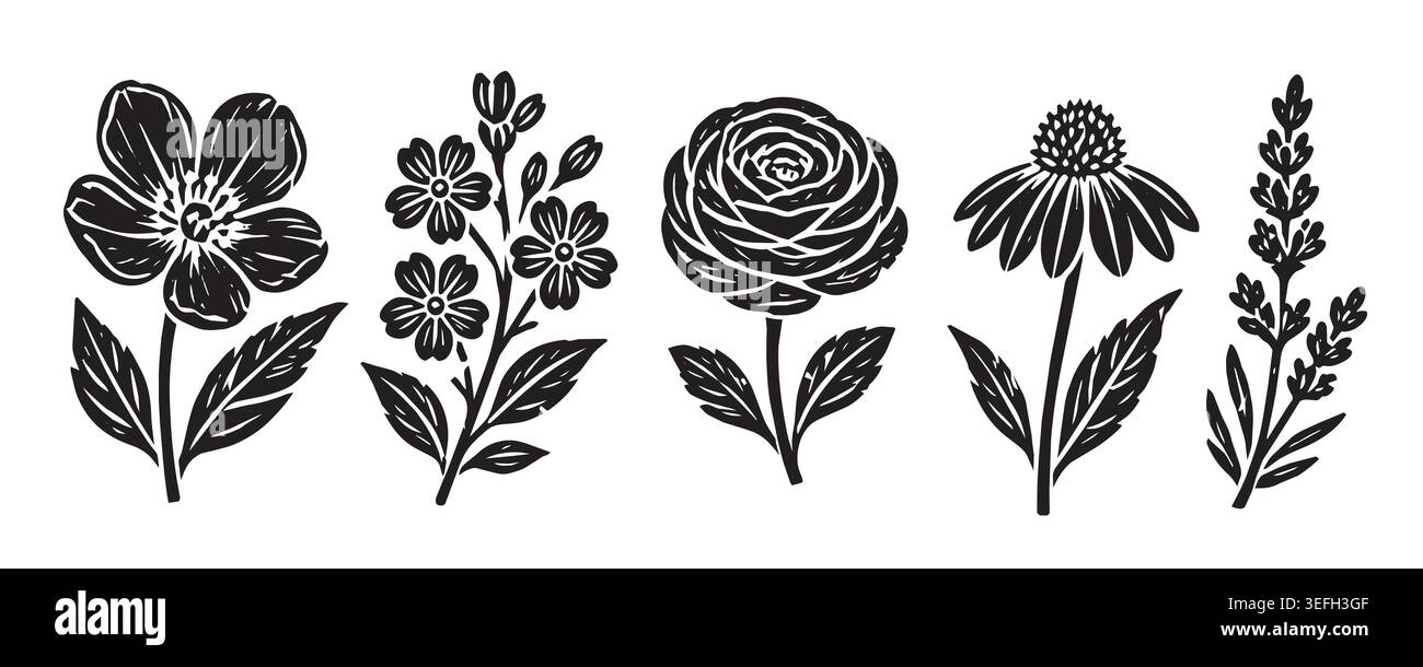 Botanical drawing linocut Black and White Stock Photos & Images - Alamy