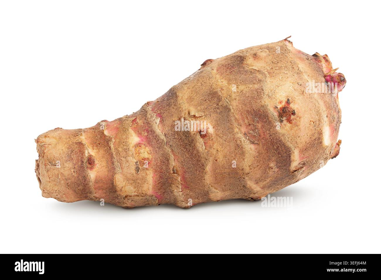 Jerusalem artichoke isolated on white background Stock Photo