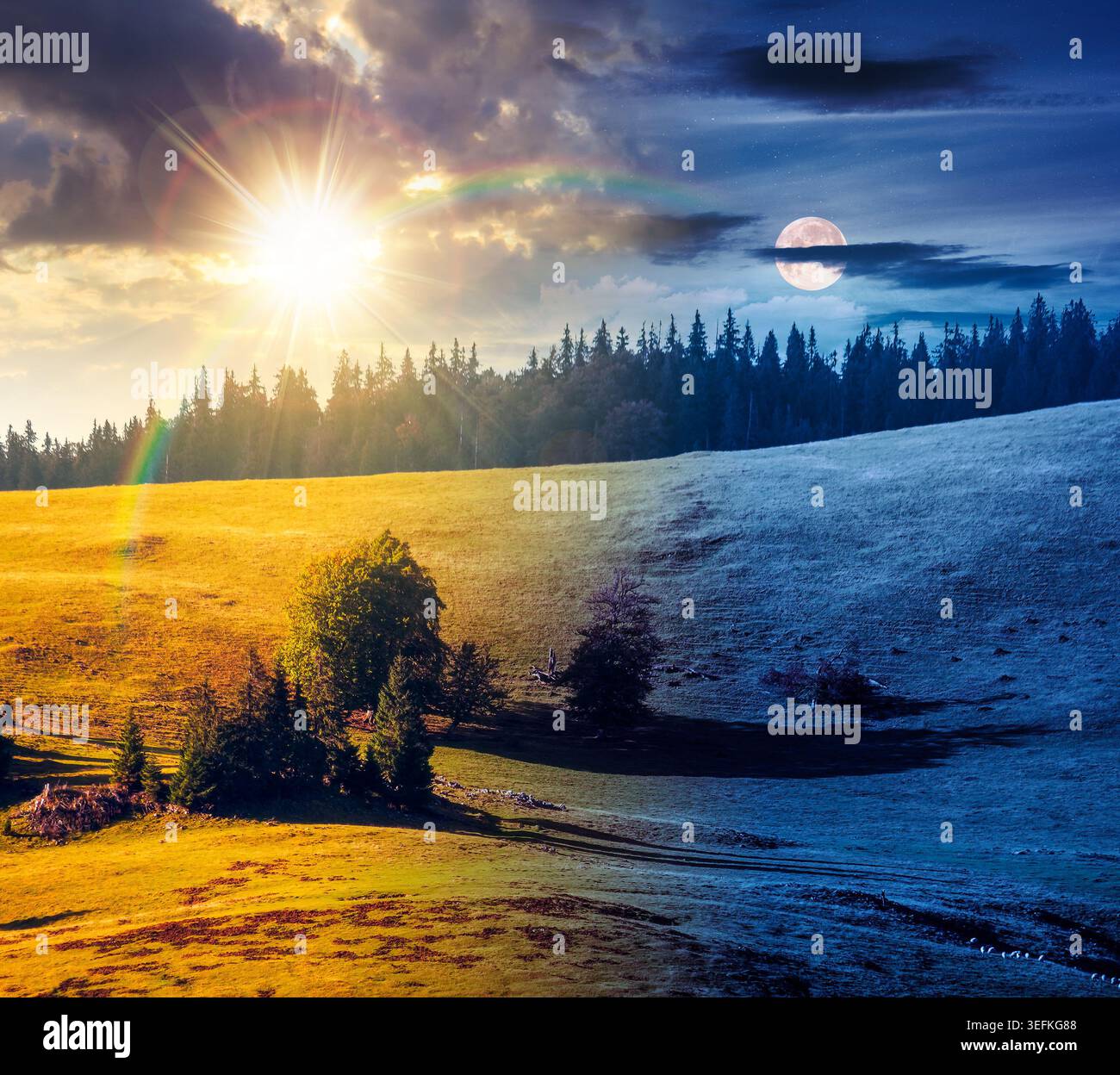 hillside of mountain range with coniferous forest and meadow. day meet night. wonderful view of a grassy meadow on steep hill. sun and moon over natur Stock Photo