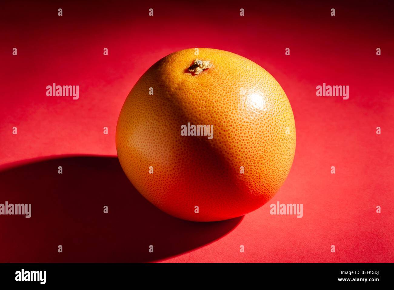 one grapefruit on red background Stock Photo