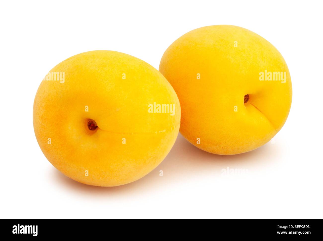 apricots path isolated on white Stock Photo