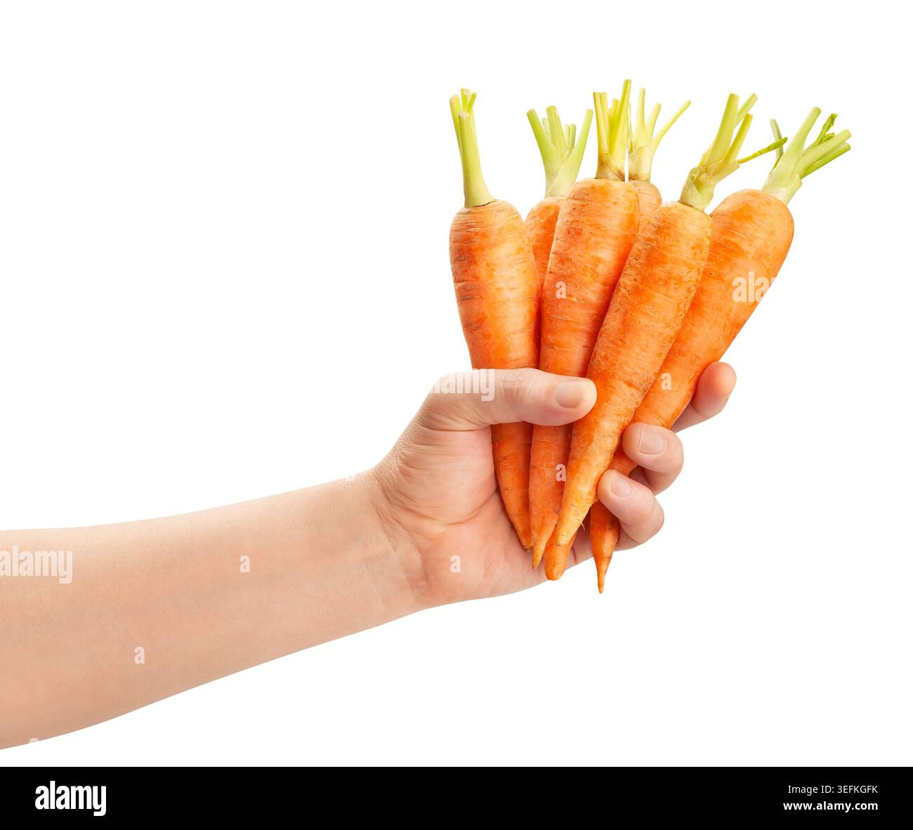 carrots in hand path isolated on white Stock Photo