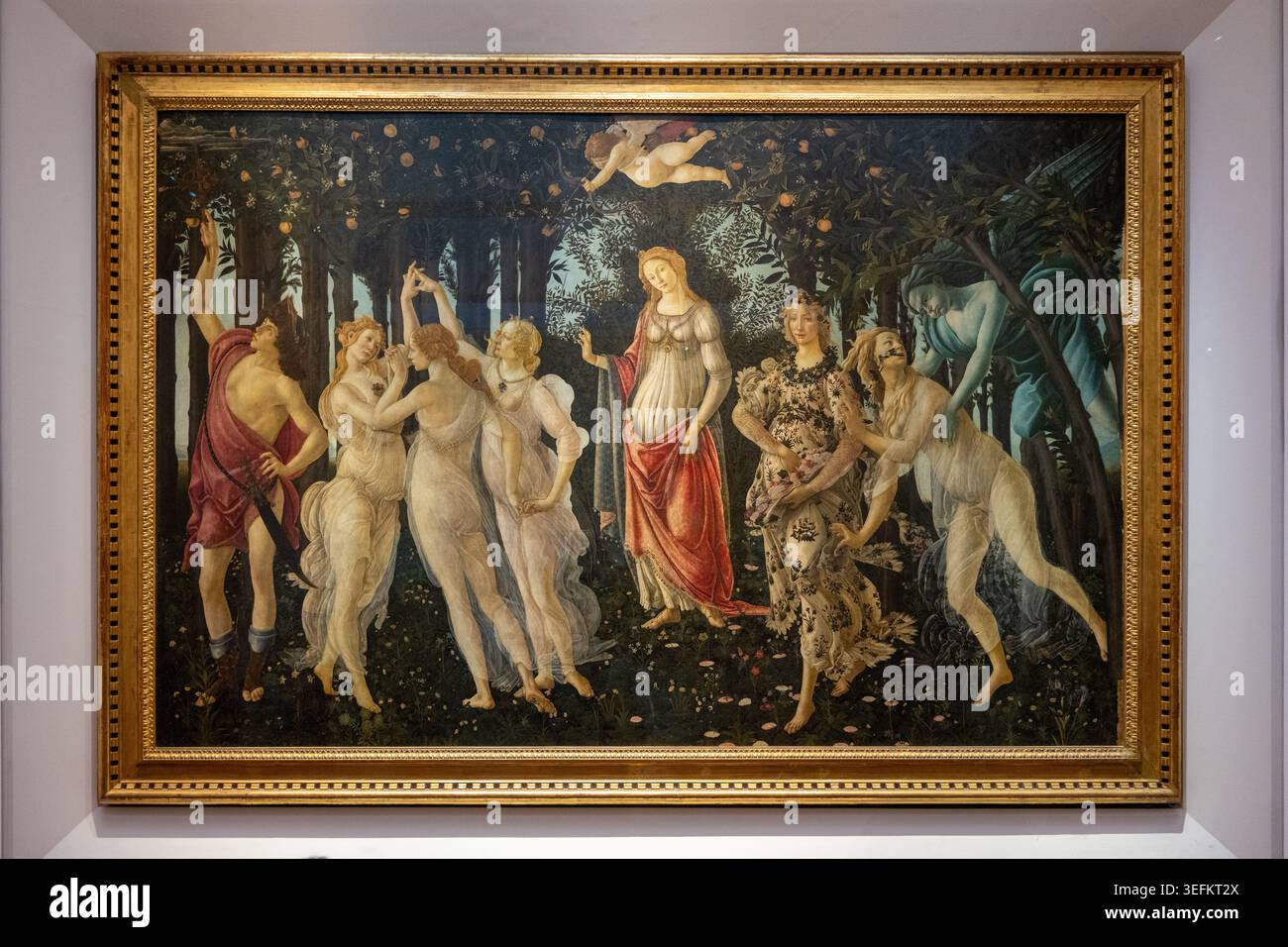 Uffizi museum primavera hi-res stock photography and images - Alamy