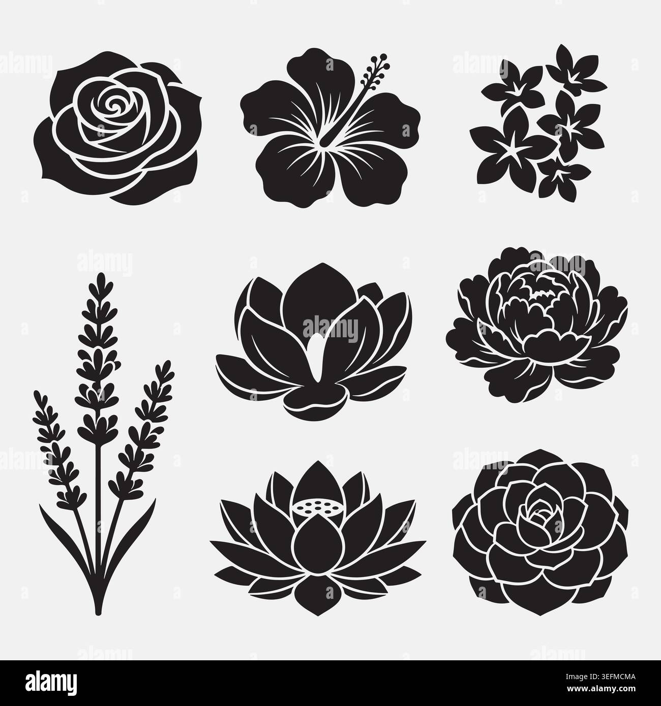Organic shape vector vectors hi-res stock photography and images - Alamy